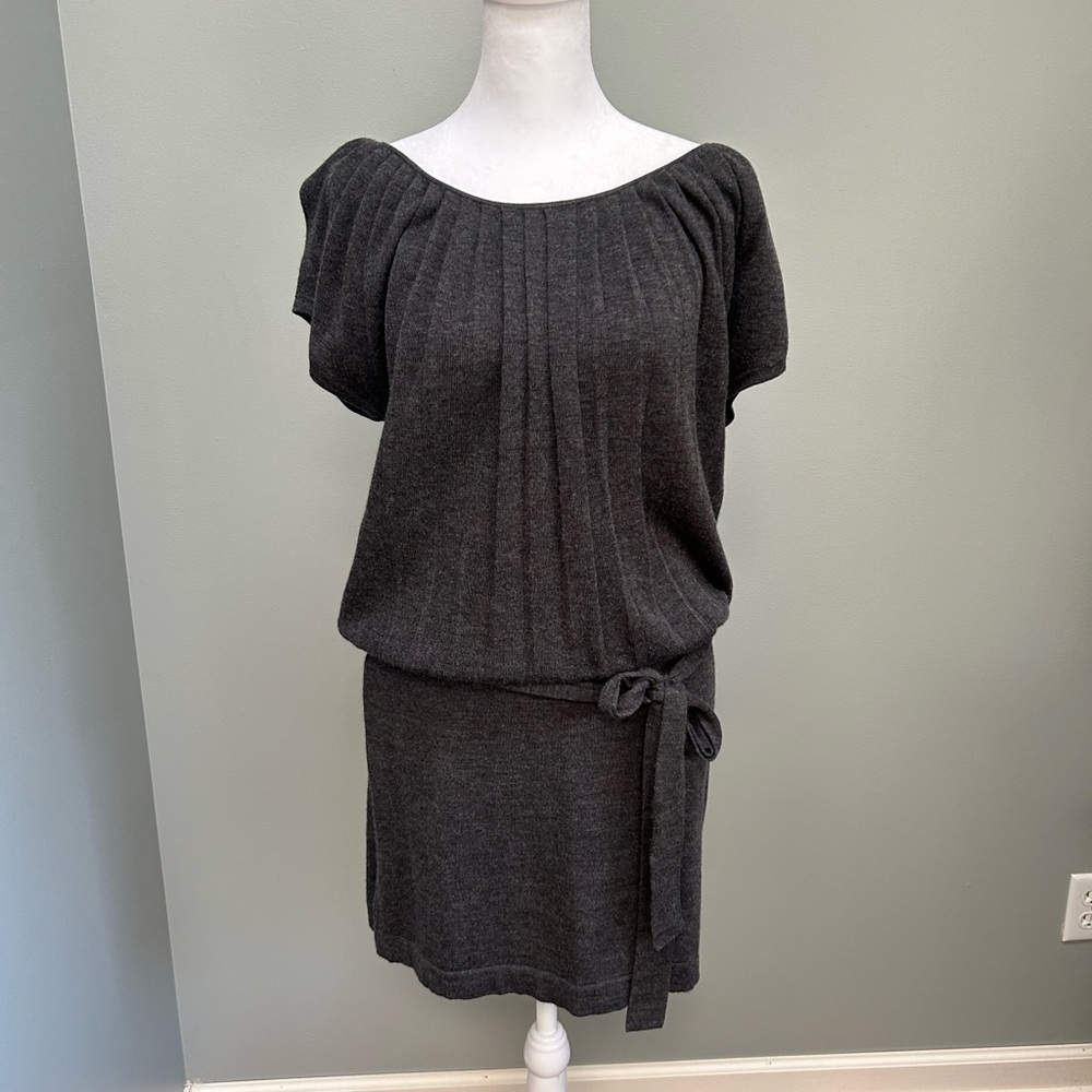 Woman’s Ann Taylor LOFT size S gray mini dress